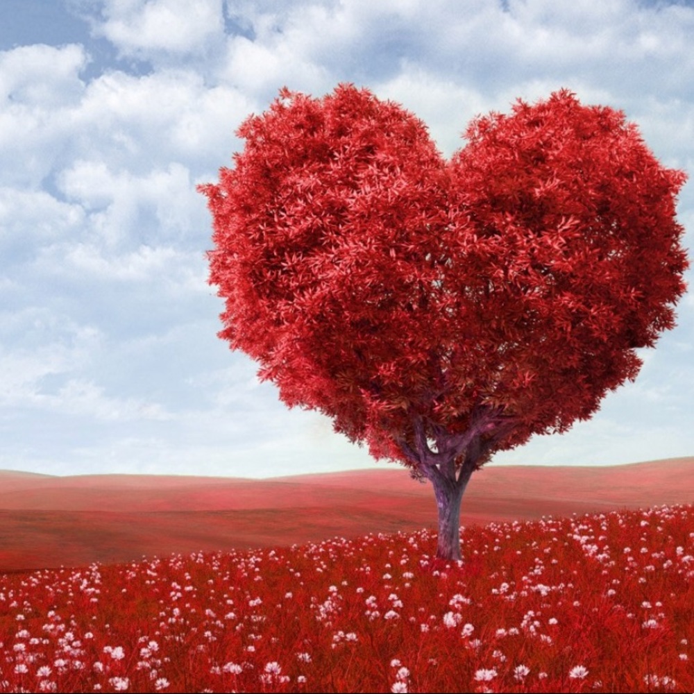 ❤️Happy Valentine's Day ❤️My Pashonista💃🏼Friends - Picture 8 of 8